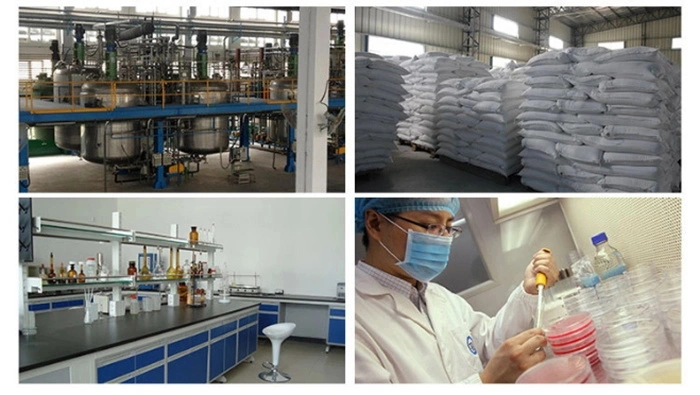 Cooper Sulfate Copper Agrochemical/Feed Grade Cooper Sulfate